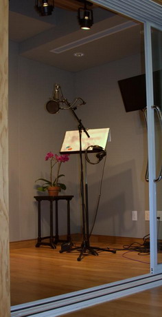 Another view of an installed recording studio door Another view of an installed recording studio door